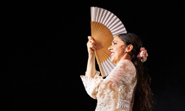 Studio Danse Mirage - Flamenco 